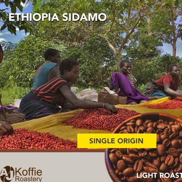 

Ethiopia Sidamo Light Roast AJ single origin Arabica 200 gram