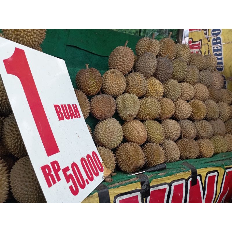 

Durian Lokal Utuh 1 Buah Rp 50.000