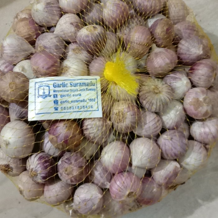 

bawang putih Lanang tunggal 500gram