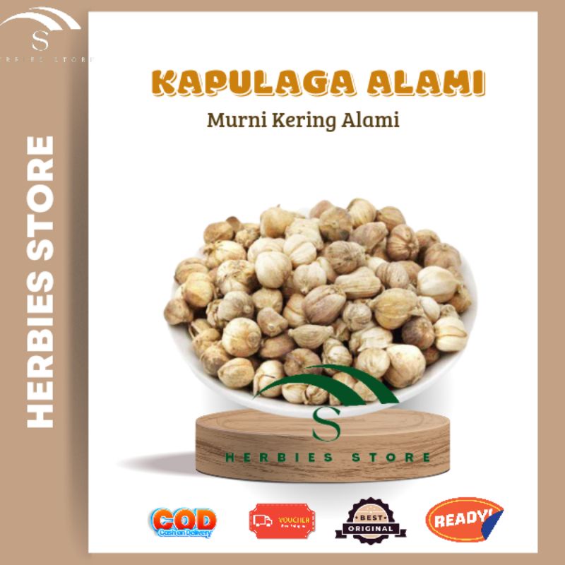 

Kapulaga Kering kapolaga Alami Tanpa Pemutih 100gram