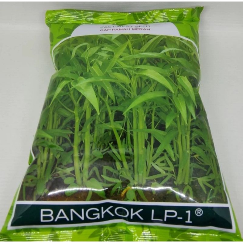 Jual Benih Kangkung Bangkok LP 1 Cap Panah Merah 1 Kg Kemasan Pabrik ...