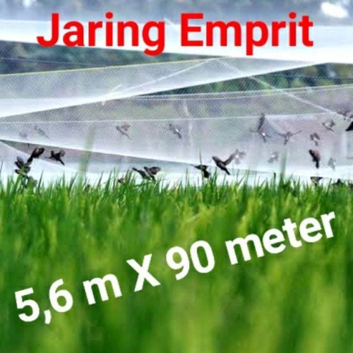 JARING PADI BURUNG EMPRIT
