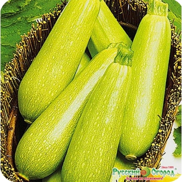 

Belimbing wuluh sayur segar surabaya