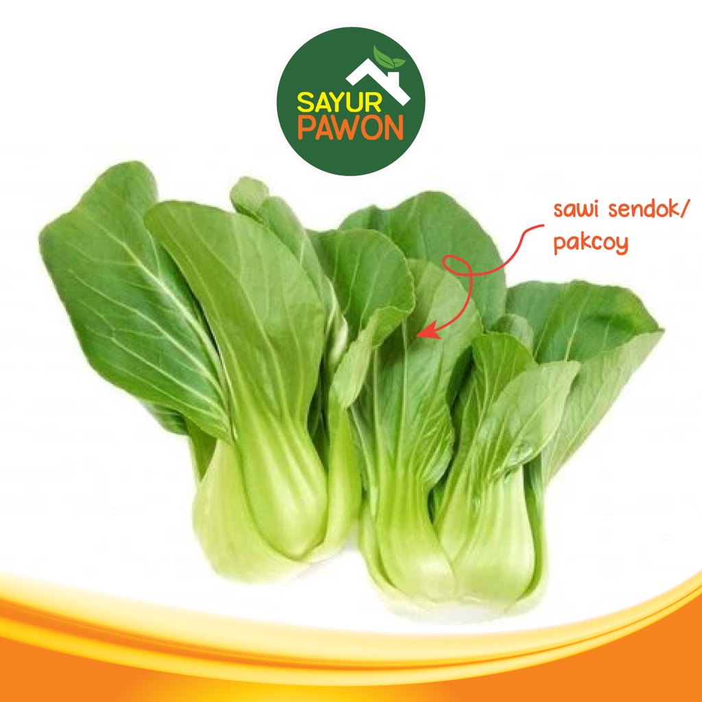 Jual Sawi Sendok Sawi Daging Pakcoy Per 250 Gram Sayur Pawon