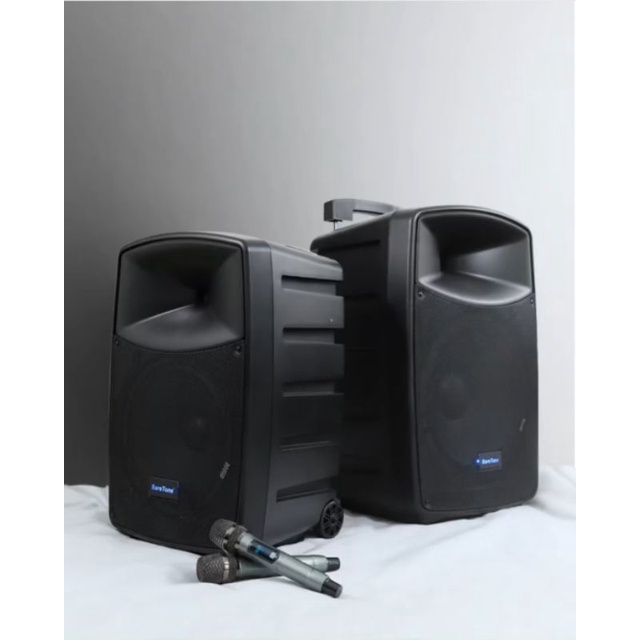 Portable Speaker BARETONE MAX15HB | BARETONE MAX 15HB