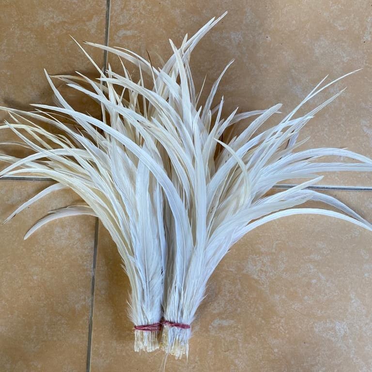 Bulu Lancur Putih Panjang 26-45 cm Bulu Ekor Putih Panjang Ayam Jago Jantan Sortiran Kualitas Terbai