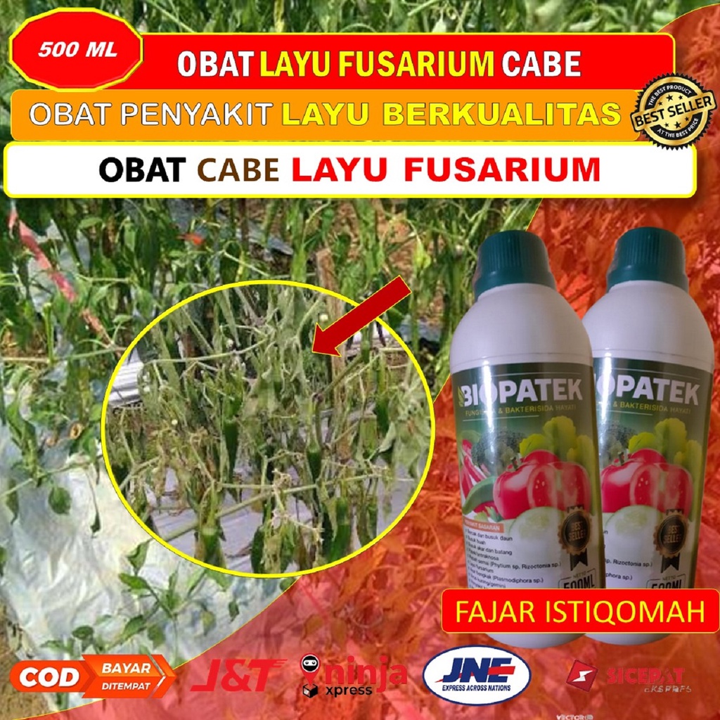 BIOPATEK fungisida hayati obat layu pada tanaman cabe (500 ML) - obat layu fusaruim pada cabe - obat