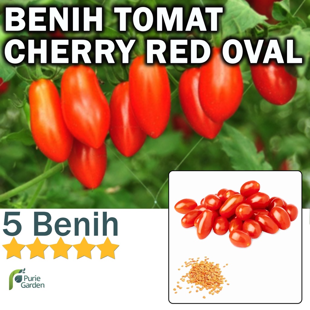 Benih Bibit Tomat Cherry Red Oval 5 Benih Dua Ribuan PG KDR