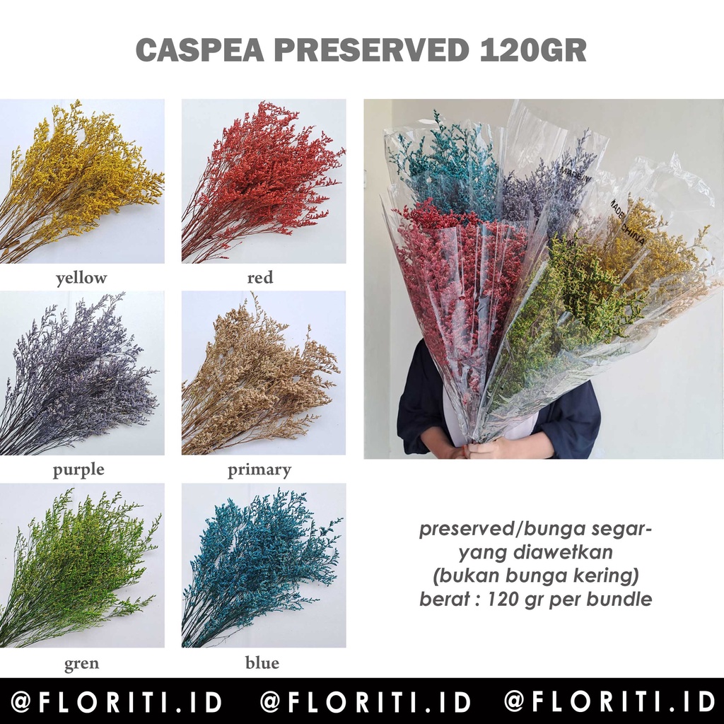 Preserved Caspea Grass Dried Flower