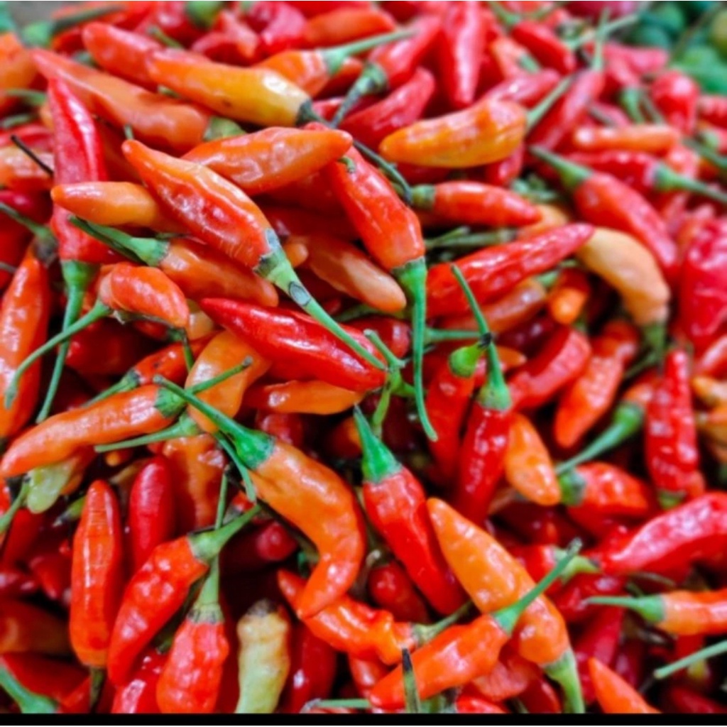 

Cabe rawit sayur segar 500 gram