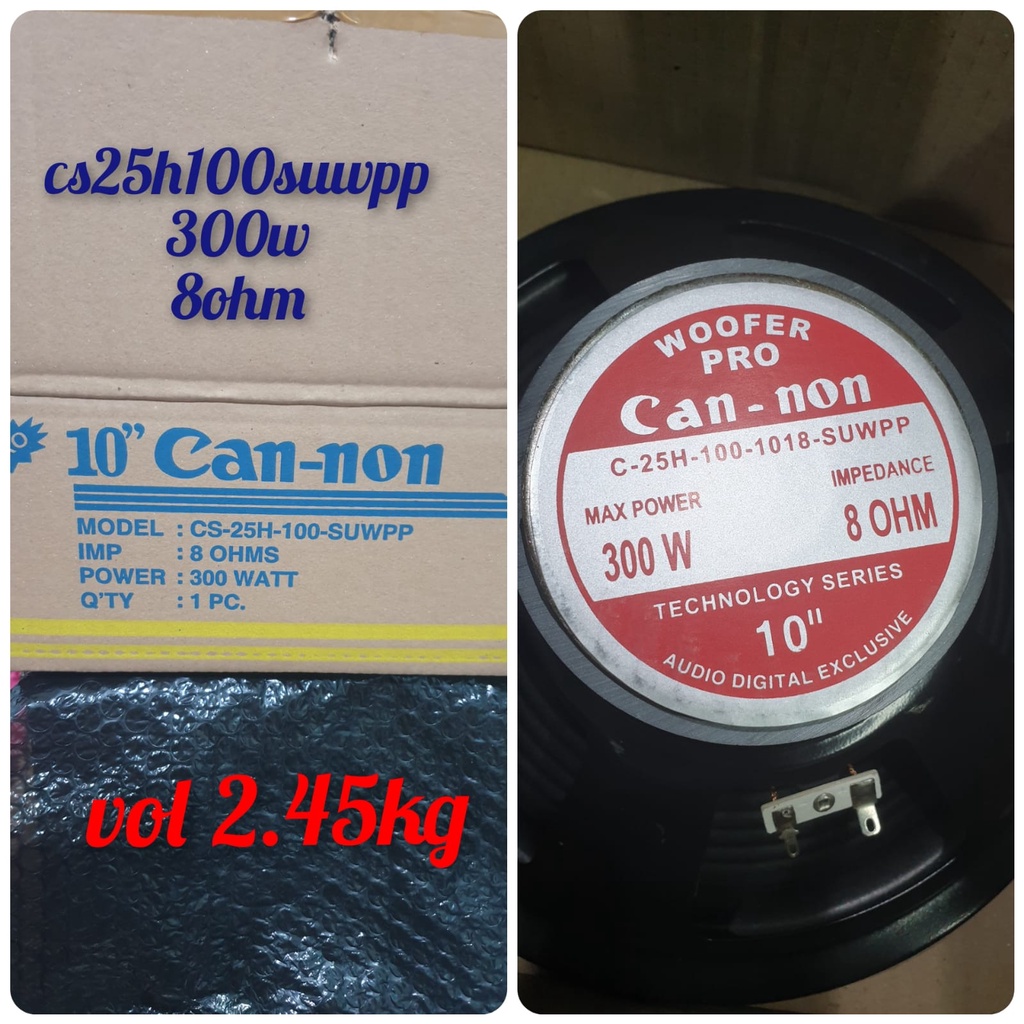 speaker 10inch cannon can-non 25h100 suwpp dan c1018hw bukan acr curve