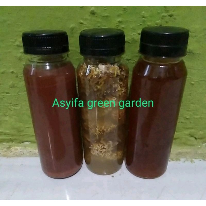 paket psb,biang jakaba dan eco enzym