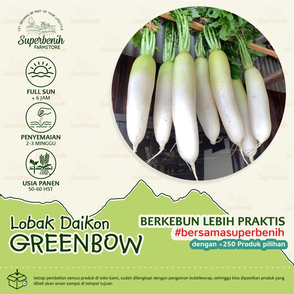 10 Biji - Benih Lobak Putih GREENBOW F1