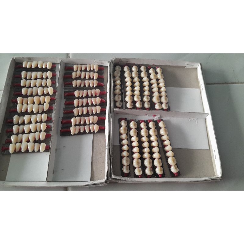 BAHAN GIGI PALSU//PROMO