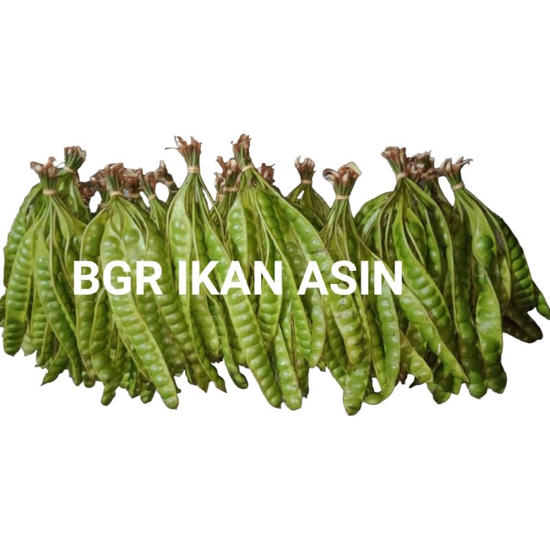 

RB22 pete super isi 5 lonjor/papan