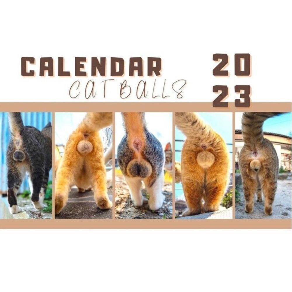 Preva Cats Buttholes Balls Calendar Hadiah Tahun Baru Kreatif Gag Hadiah Hiasan Penyembuhan Cat Balls Calendar