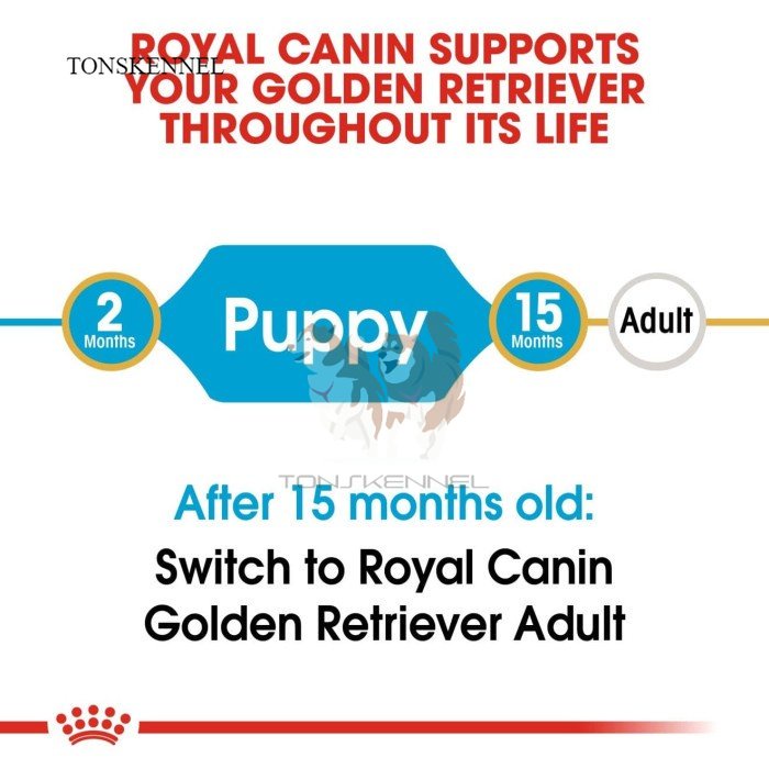 Royal Canin Golden Retriever Junior Puppy Makanan Anak Anjing Dry 12kg RC