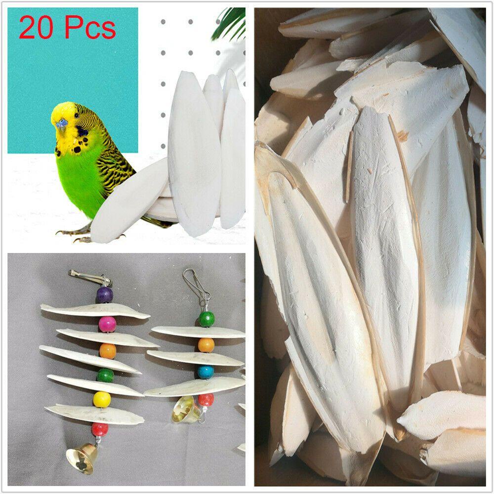 Solighter 20Pcs Cuttlefish Bone Snails Kalsium Kunyah Burung Cuttlebone