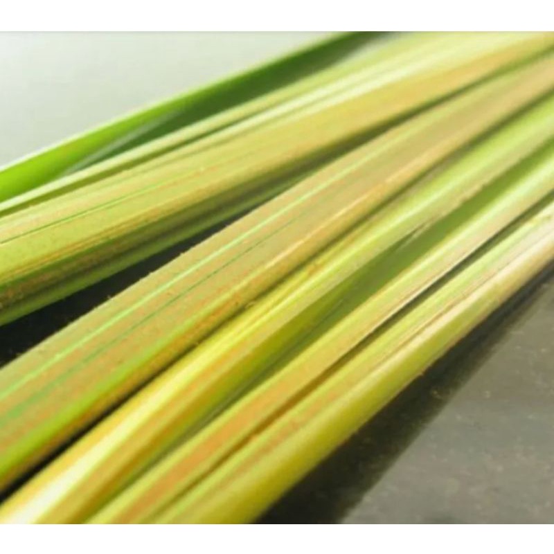 

Daun kelapa muda janur untuk buat cangkang ketupat (10pc)