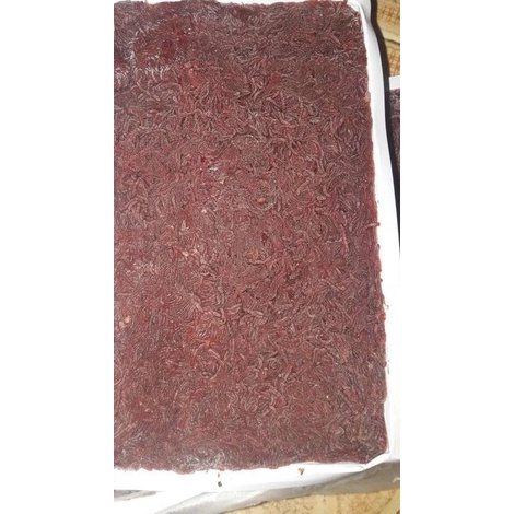 CACING DARAH BEKU (CABEK)