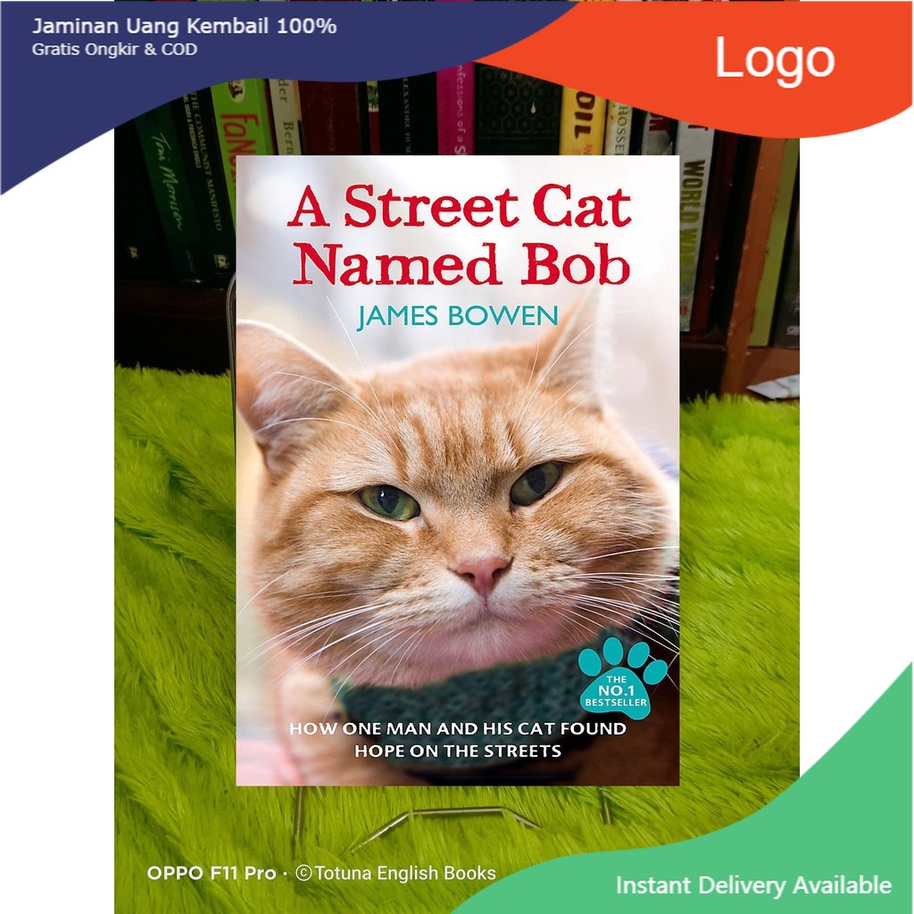 

A street cat named bob