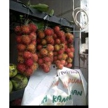 Jual Buah Rambutan Binjai Manis Legit Fresh Ikat Shopee Indonesia