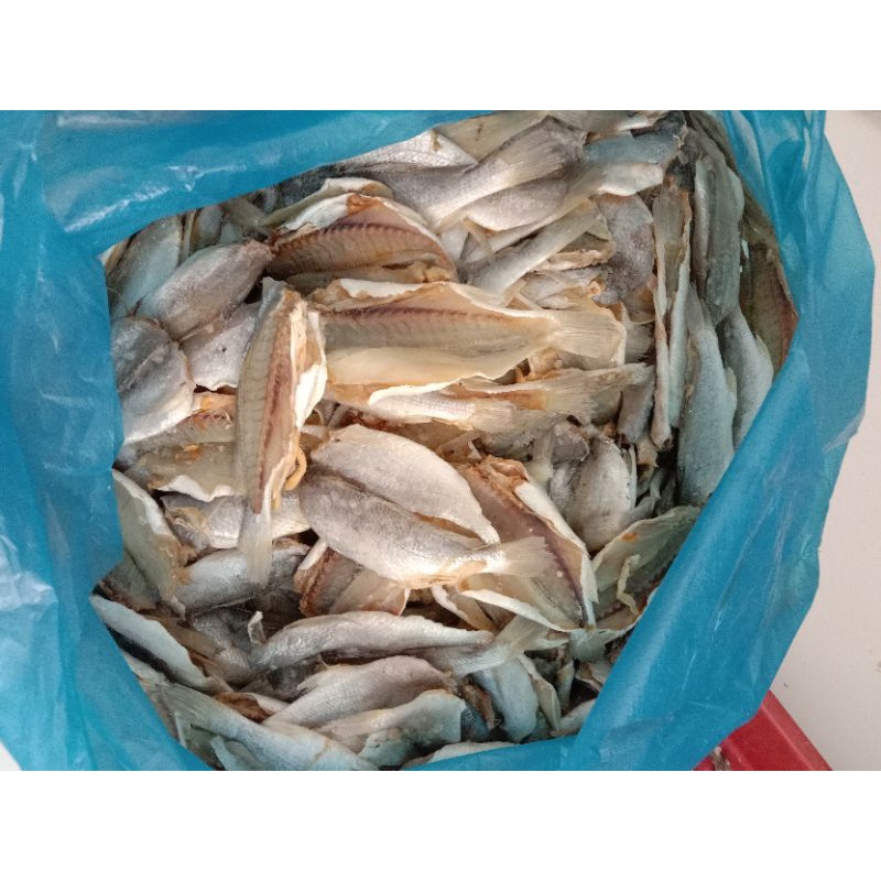 

ikan peres/gulamo belah tanpa kepala