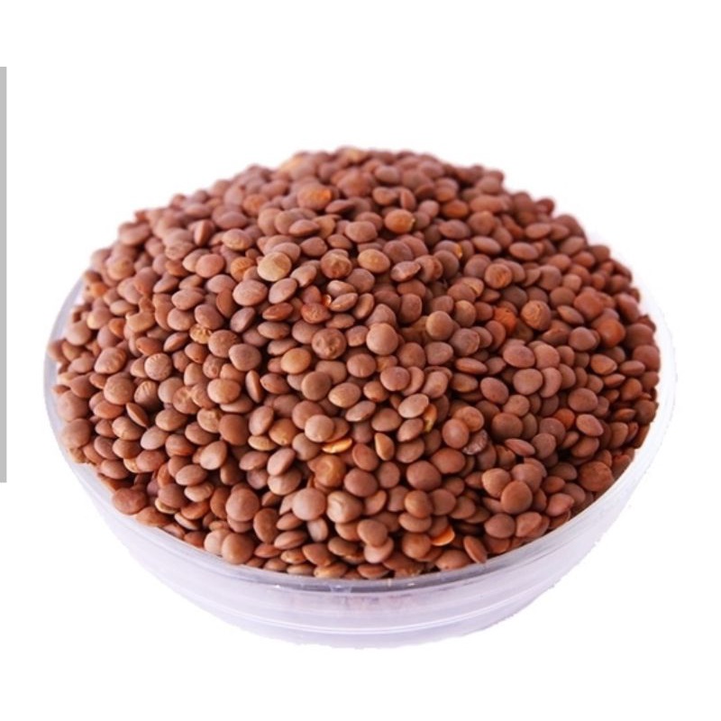 

LENTIL COKLAT 1KG عدس كشري . EXP 5/2026