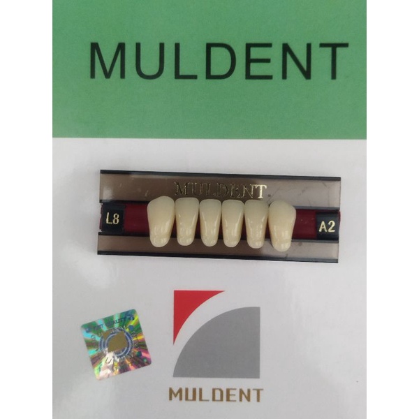 GIGI PALSU / GIGI MULDENT - DEPAN BAWAH / PER BARIS ISI 6PCS / UKURAN L8 : A2