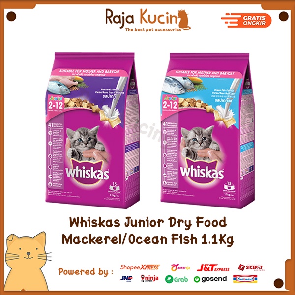 Makanan kucing Whiskas Dry Junior 2-12 bulan 1.1kg Ocean Fish/Mackerel