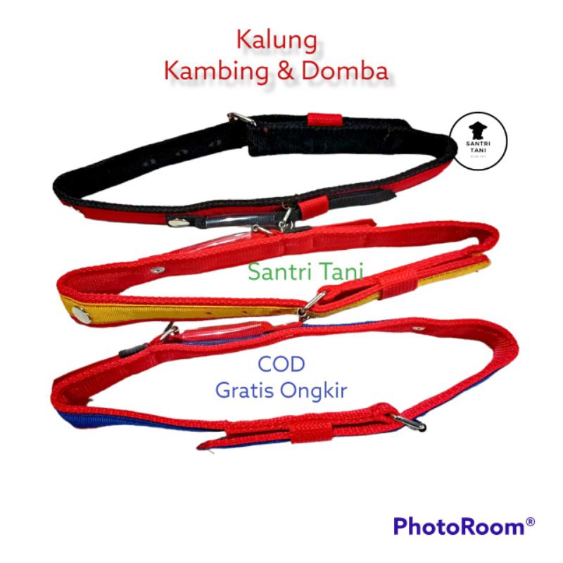 Tali Kalung Domba | Head Hearnes Tali Kambing | Aksesoris Tanpa Lonceng