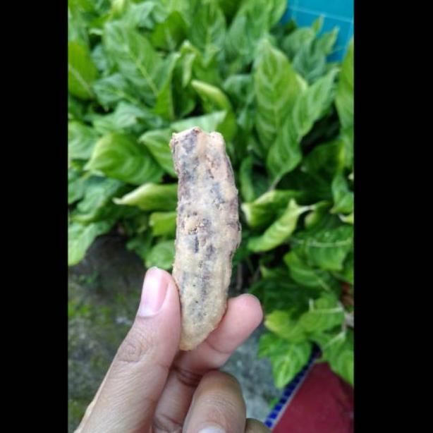 

㊝ [1000 Gr] SALE PISANG BARLIN PREMIUM KHAS BANYUWANGI TERMURAH ヌ