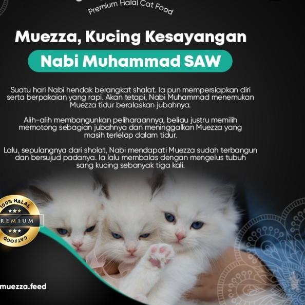 Makanan Kucing Kering - Salmon Flavor - Muezza Cat Food