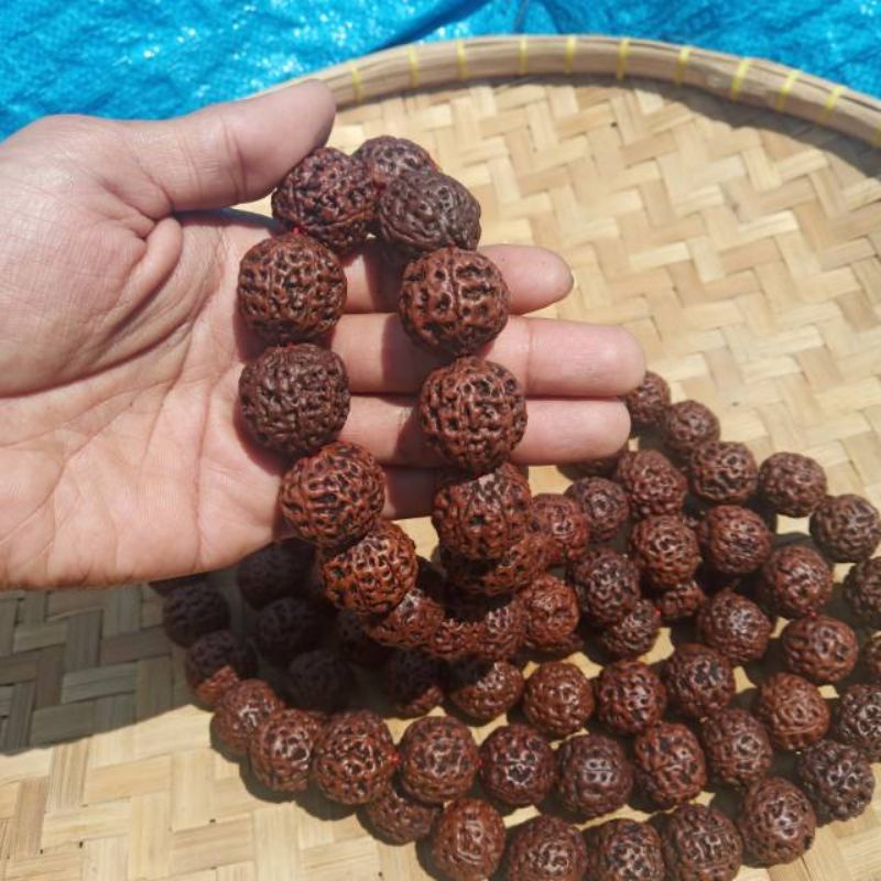 tasbih jenitri rudraksha besar 99