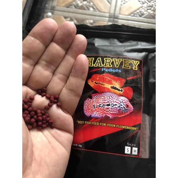 PELET IKAN LOUHAN HARVEY MERAH PEDASS HEAD BOOSTER