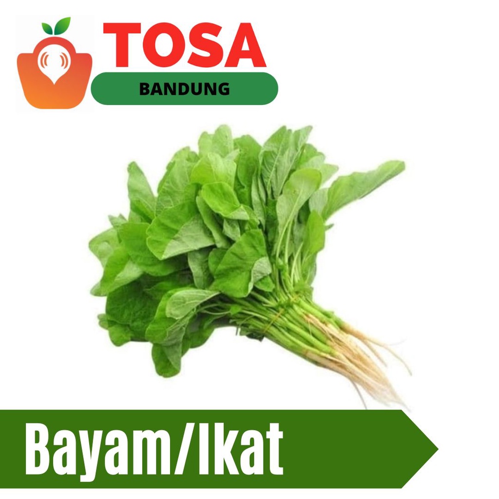 

Grosir bayam /ikat