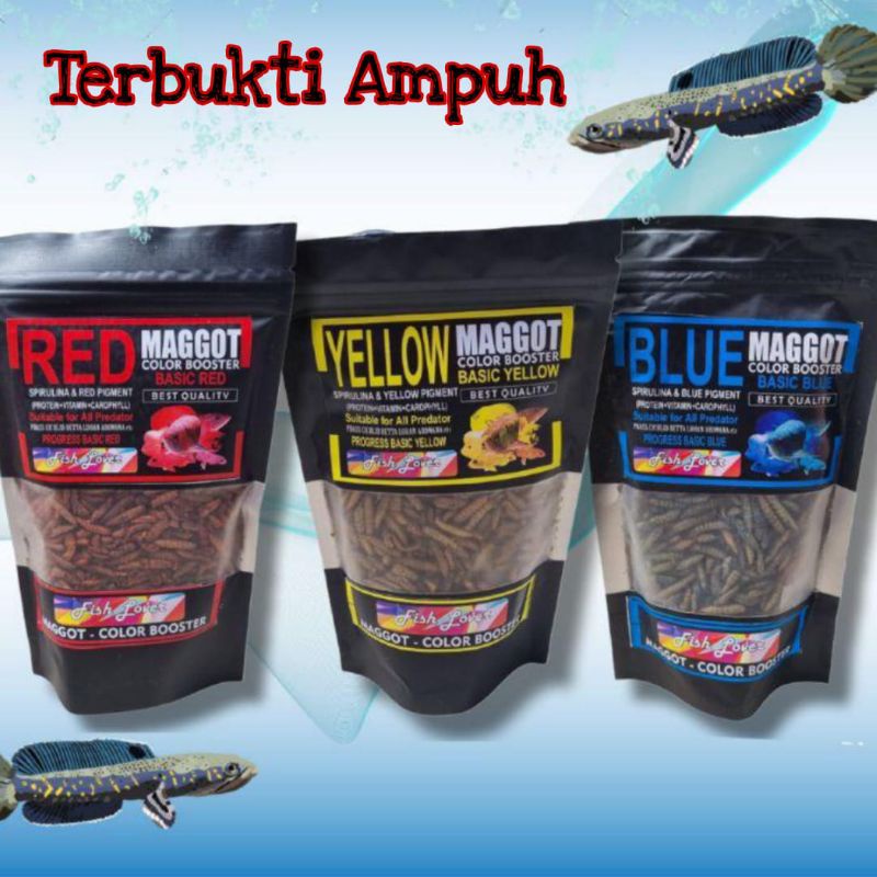 Maggot Kering BSF Magot Pakan Chana Red Yellow Blue