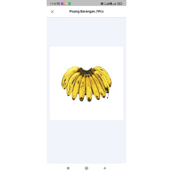 

Buah Pisang Barangan Per 1 Sisir