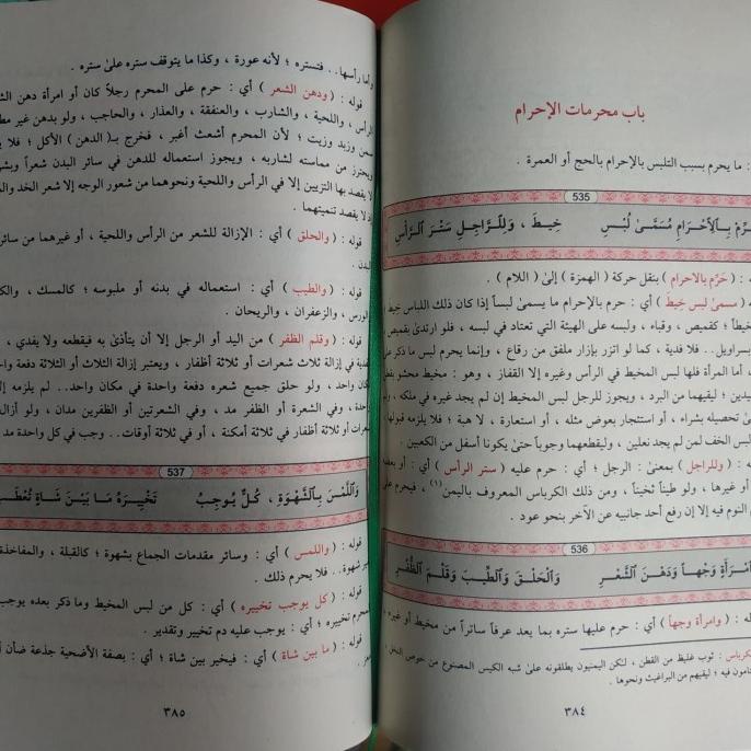 Ifadatus Sadatil Umad (Syarah Zubad)