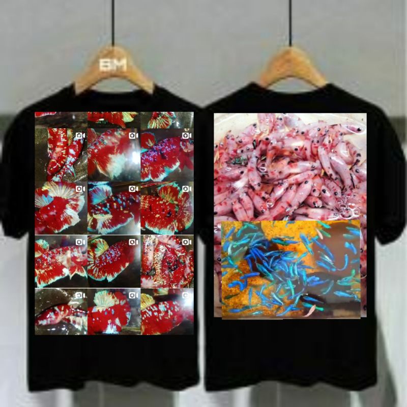 10 ANAKAN CUPANG HALFMOON BARONGSAI