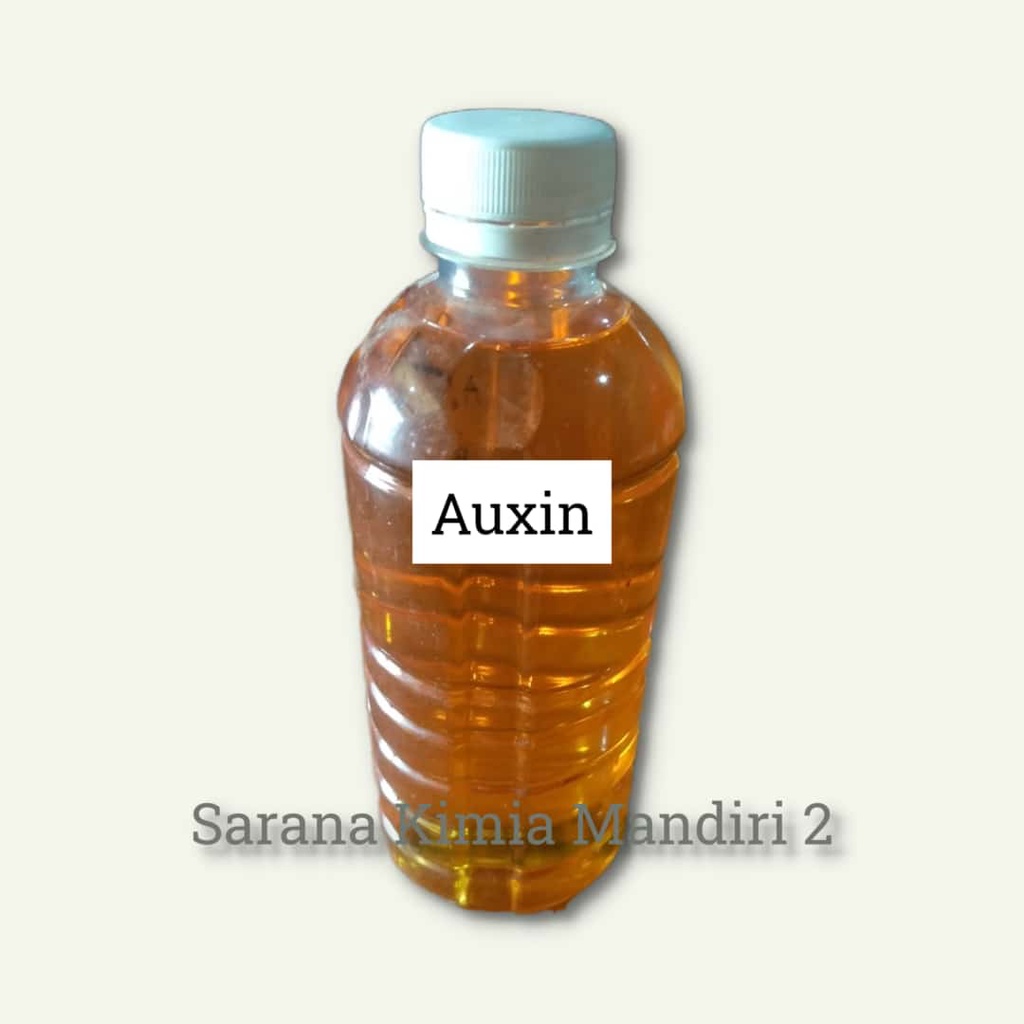 zpt auxin / hormon tanaman / auksin