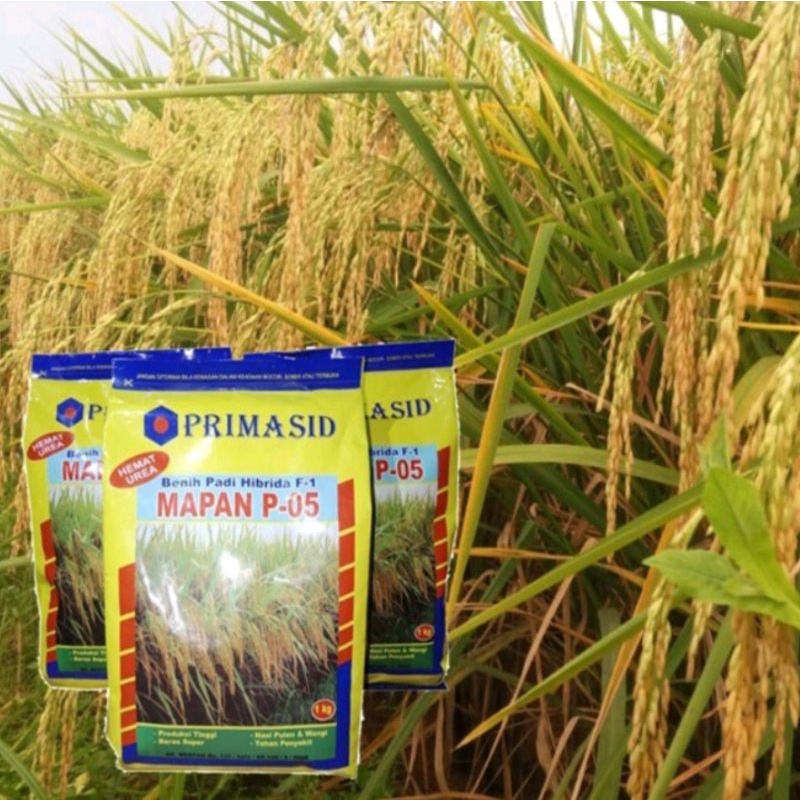 Benih padi hibrida MAPAN 05 kemasan 1 kg