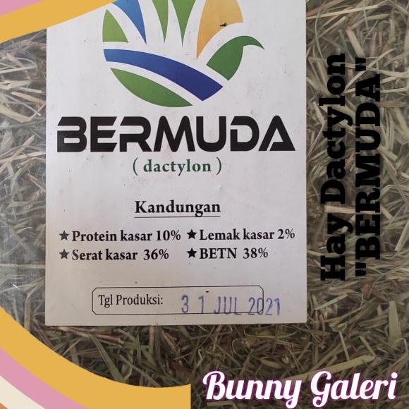 HAY DACTYLON "BERMUDA" kemasan 2 kg