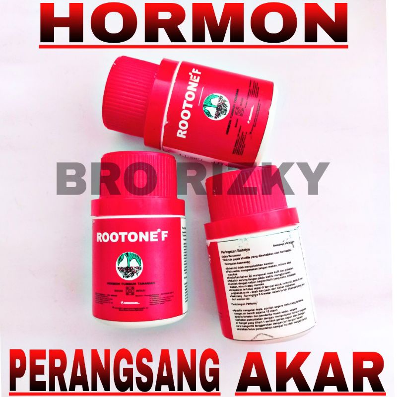 HORMON PERANGSANG PERTUMBUHAN AKAR - ROOTONE F 50gr (CANGKOK - STEK TANAMAN)