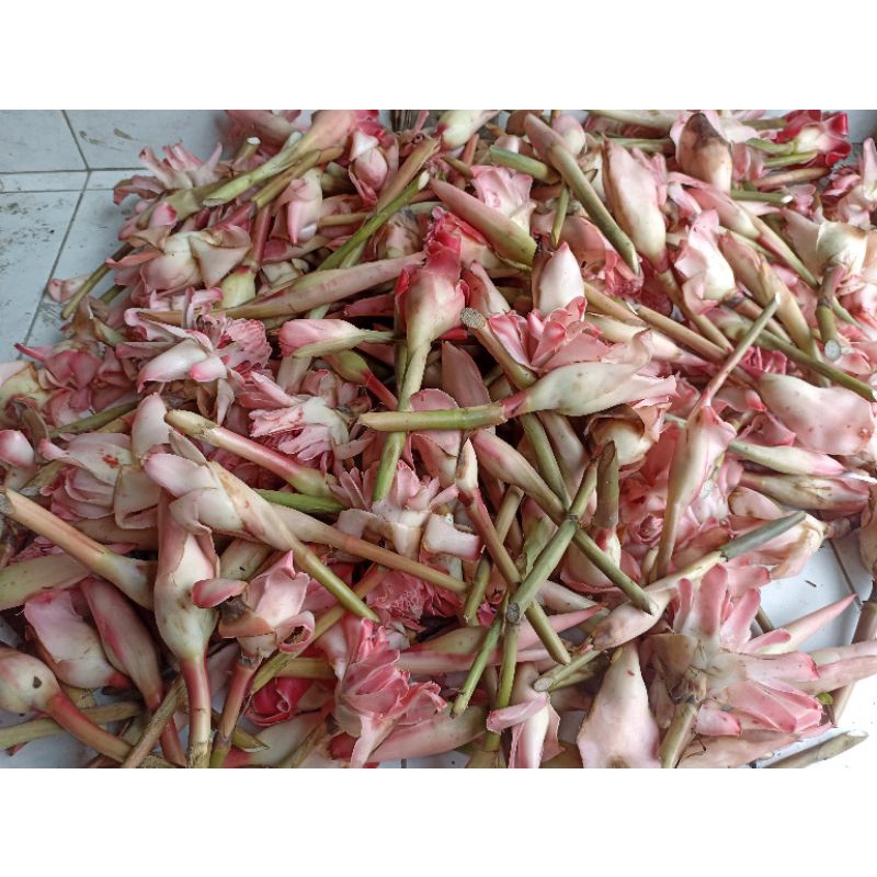 

kecombrang/kicung 1 kg