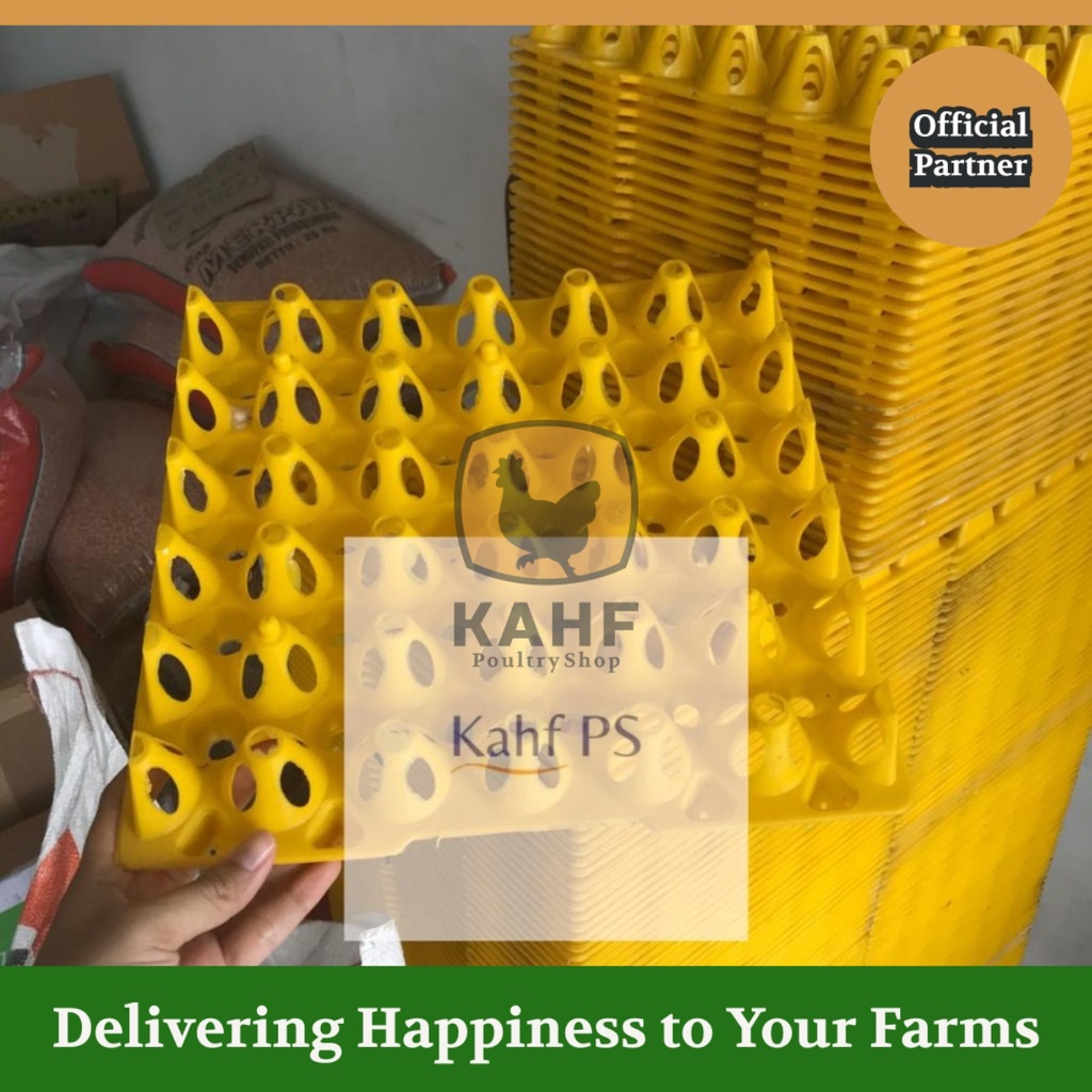 Egg Tray Asli Medion isi 30 untuk Telur Ayam Bebek