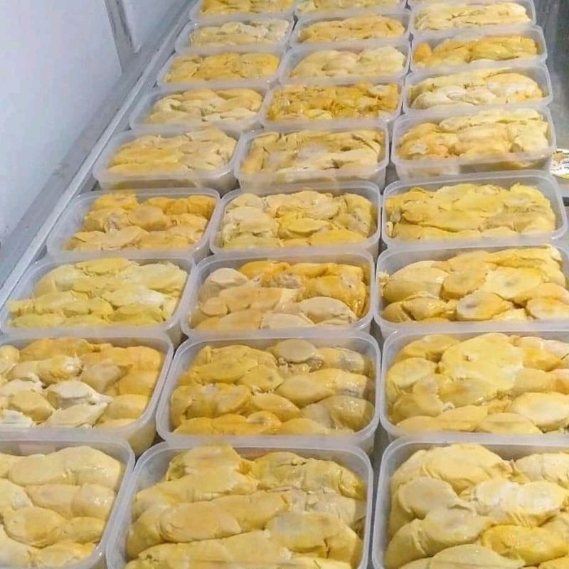 

Durian Medan/Nias/ Padang/Sidikalang/Sibolga