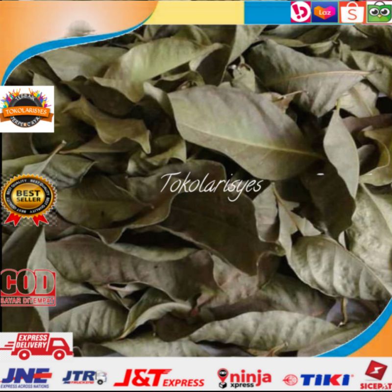 

Jual daun salam kering perlembar