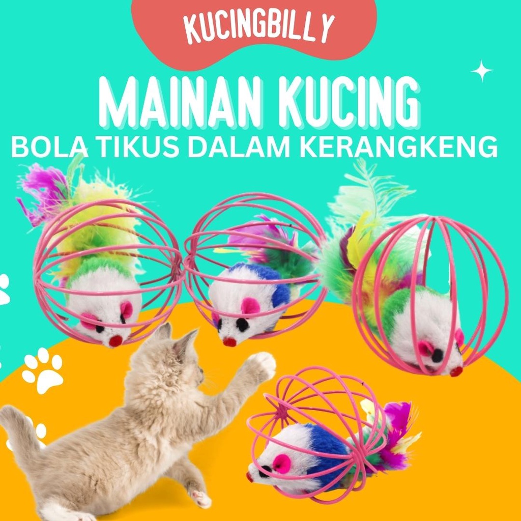 Mainan kucing bola rangkai tikus