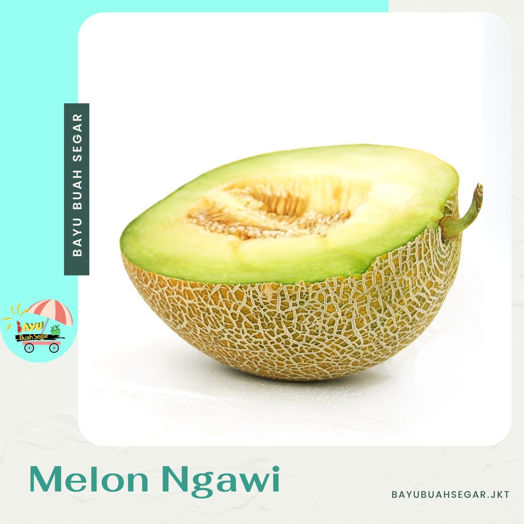 

Buah Melon Ngawi Manis Segar